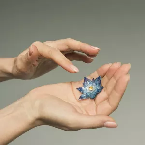 Кольца: 