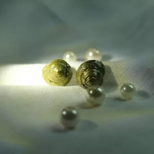 Серьги пусеты из коллекции 