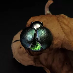 Брошь-пин LITTLE BEETLE-FIREFLY
