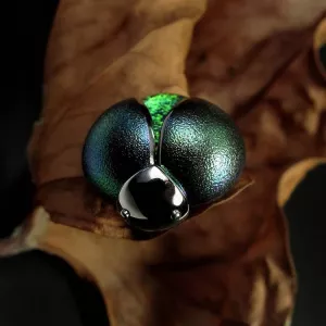 Брошь-пин LITTLE BEETLE-FIREFLY