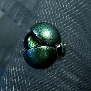 Брошь-пин BEETLE-FIREFLY с узором на крыльях